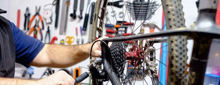 reparation reparation